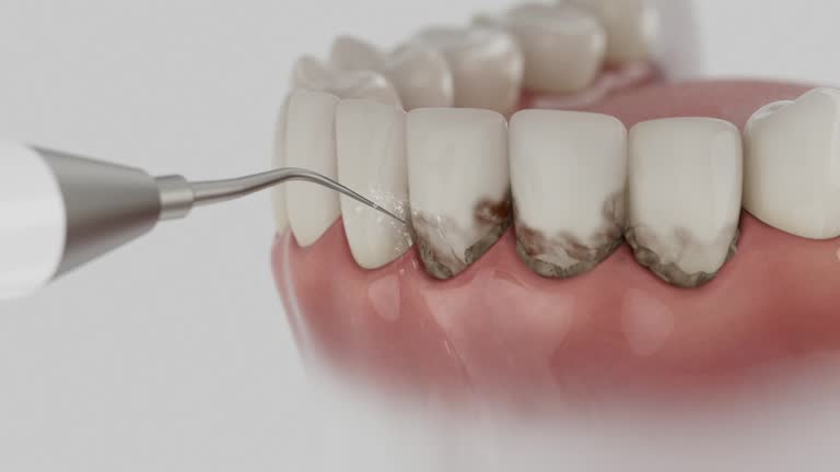 Reliable Dental contractor in Robins, IA by Dentist Open Now